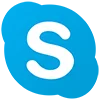 SEO Жук в Skype